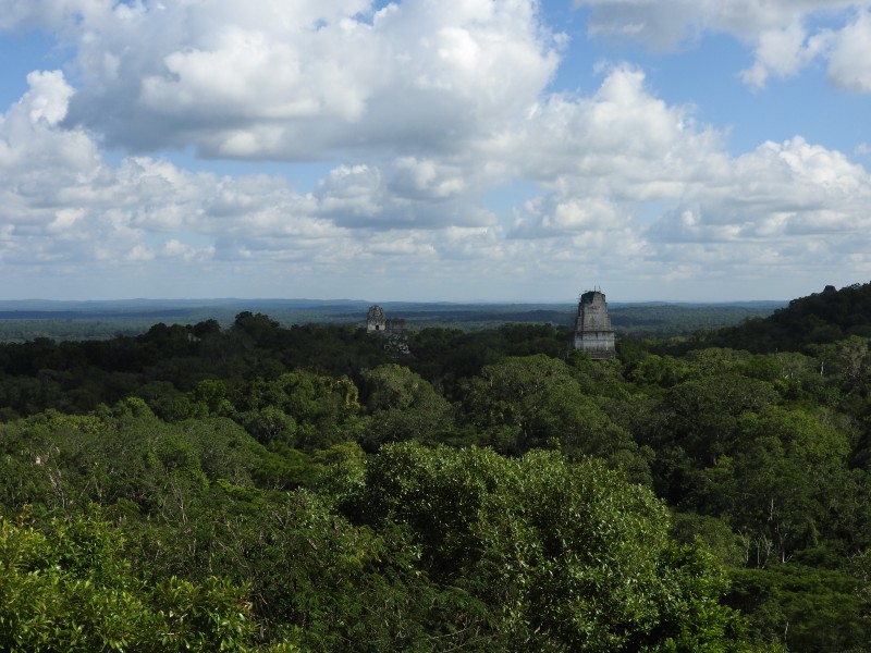 60 Parque Nacional Tikal